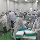 삼오행정사사무소 이미지