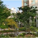 광교갤럭시(단지내)공인중개사사무소 이미지