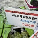 달쥬마켓