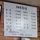 인덕원 대우수산 : 가을전어, 대하구이 러버의 올해 첫 먹방후기