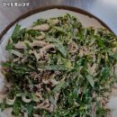 토종 장수 순대 이미지