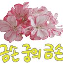 봄날앤