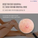 일루아헤어 - 당진시 | 일루아헤어