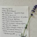 온리앳오운리 이미지