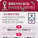 2022 카타르 월드컵 한국대표팀 26인 명단(월드컵 이번달 시작 많관부) 이미지