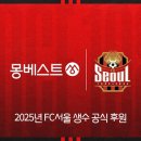 베스트에프씨