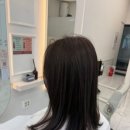 씨드온