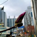 김원삼행정사사무실 이미지