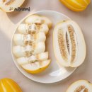 어느날성주 | 청주과일가게 오늘의과일 비하점, 국산 성주 하우스 참외 당도 16.3% 후기