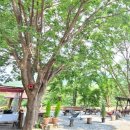 앵두펜션 이미지