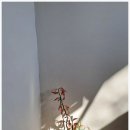 서산 읍내동 타로샵 서연재 사주앤타로 경험후기. 서산 읍내동에서 느낀 진짜 상담.