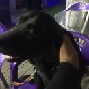 원지주유소 이미지