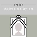 법무법인사람앤스마트서울분사무소 이미지