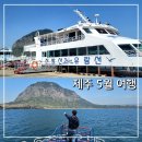 파도사랑 민박 | 제주 5월 여행 산방산 유람선 가격 시간표 코스 및 화순항 선착장 탑승 후기 가족여행 추천