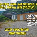 보성공인중개사 이미지