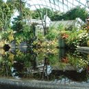 자유여행영어 이미지