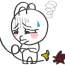 애니멀공화국 이미지