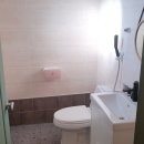 욜라뽕따 글램펜 이미지