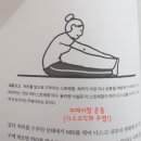 요통, 디스크 있는 40대 넘은 분들이 꼭 알아야할 자세와 운동 이미지