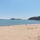 몽산포정다운 이미지