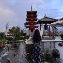 신한사랑약국 | 다낭 4박 5일 2일차(포박하이, 한시장, 롯데마트, 미카즈키 리조트)