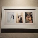 서형 | W#20 1단엽서형 청첩장 3구 액자로 예쁘게 보관하기