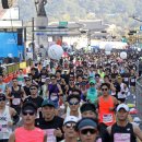 &#39;2025 서울달리기&#39; 12일 서울광장 일대 개최…구간별 도심 교통통제 이미지