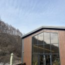 홍천 팔봉산 뷰 애견 동반 가능한 카페 오도치308
