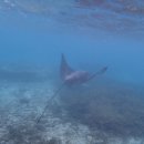 신사-114 | D.114~120 - 해외에서 새해 보내기 !