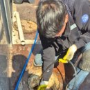 해경주택 | 🚨 갑작스러운 역류로 당황했던 하루부산 화명동 하수구막힘 해결 후기 🚨