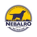 네발로 코리아 이미지