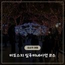 교차로25시 | 오사카 겨울 밤 2025 미도스지 일루미네이션 후기 & 정보
