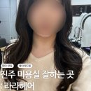 시아동물병원 | 진주 평거동 미용실 라라헤어 | 히피펌 맛집 CS컬 S컬 맛집 친절한 미용실 추천