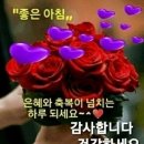 오늘도건강