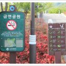 문학공원주차장 이미지