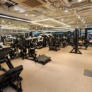 플라이 짐 이미지