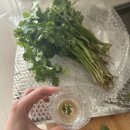 뿌리당구장 | 2026년 오기 전에 다 쓴다.. 5월 기록