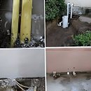 단원로 | 집 안에서 물이 뚝뚝 심장이 쿵 했어요