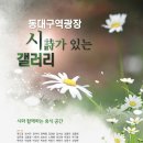 동대구역광장 시와 사진이 있는 갤러리 오픈 이미지