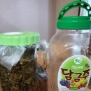 전남생약협동조합 네이버블로그