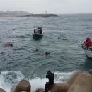 영랑동 해안방파제 이미지