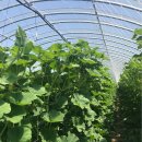 찬영농장 이미지