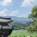 유등연지입구 이미지