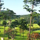 동훈나이스 이미지