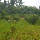 굿마루농장 이미지