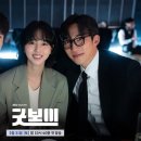 보이컷