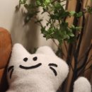꾹꾹이테라피