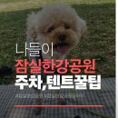 그늘막65 | 강아지와 잠실 한강공원 나들이 후기, 주차부터 그늘막 텐트 시간까지 최신 정보 정리