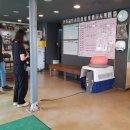 망고 애견 이미지