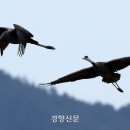 두루미사진관 이미지